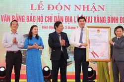 Tăng cường bảo vệ tài sản trí tuệ trong thời đại số