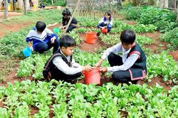 Phát triển nhân lực cấp dưỡng cho hệ thống trường nội trú Gia Lai