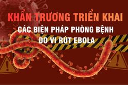 [Infographic] Khẩn trương triển khai các biện pháp phòng bệnh do vi rút Ebola