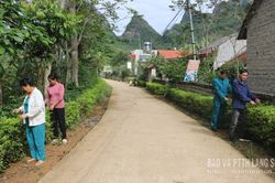 Chủ động ở cơ sở