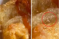 Làm rõ vụ việc phát hiện dòi trong hộp xôi