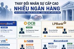 Ngành ngân hàng bùng nổ cuộc đua thay đổi dàn lãnh đạo thượng tầng