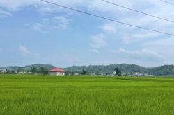 Thời tiết các khu vực trong tỉnh ngày 26/5 không mưa, ngày trời nắng nóng