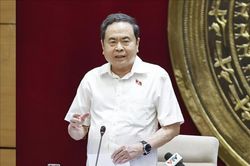 Chủ tịch Quốc hội Trần Thanh Mẫn: Ủy ban Khoa học, C&ocirc;ng nghệ v&agrave; M&ocirc;i trường kh&ocirc;ng được ph&eacute;p đi sau thực tiễn