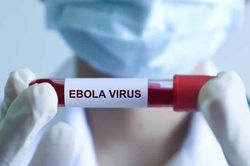 Tỉ lệ tử vong do Ebola có thể lên đến 90%, Bộ Y tế nêu các triệu chứng thường gặp khi mắc bệnh