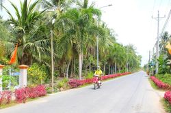 Quy định mới nhất về tổ chức, hoạt động của thôn, tổ dân phố