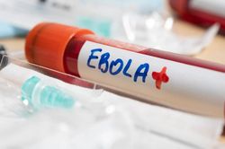 Hướng dẫn chẩn đoán và điều trị bệnh Ebola