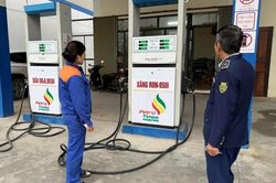 Vi phạm trong kinh doanh xăng dầu, 3 doanh nghiệp đầu mối bị xử phạt 450 triệu đồng