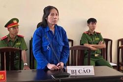 Tuyên phạt người phụ nữ 13 năm tù về tội lừa đảo chiếm đoạt tài sản