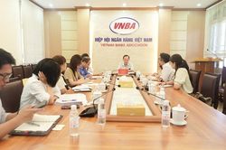 Phó Chủ tịch, Tổng Thư ký Đào Minh Tú tiếp đại diện Tổ chức Tài chính Quốc tế (IFC)