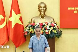Dự thảo Báo cáo kết quả kiểm tra đợt 2 đối với Ban Thường vụ Đảng ủy Quốc hội