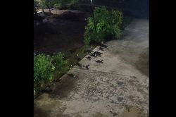 Người đàn ông sốc nặng khi phát hiện cảnh tượng lạ trong đêm