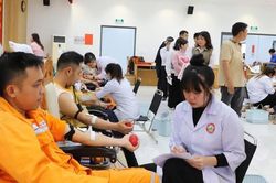 Tuổi trẻ Công ty Điện lực Lâm Đồng sôi nổi phong trào, khẳng định tinh thần xung kích