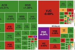 PET bứt phá lên đỉnh 4 năm, VN-Index giảm nhẹ