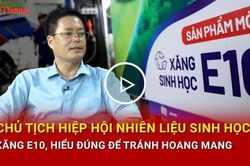 Chủ tịch Hiệp hội Nhiên liệu sinh học: Xăng E10, hiểu đúng để tránh hoang mang