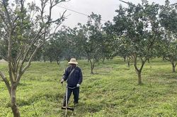 Mở lối phát triển nông nghiệp bền vững