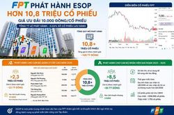 FPT phát hành 10,8 triệu cổ phiếu ESOP với giá thấp hơn khoảng 87% so với thị giá, lãnh đạo nào được quyền mua nhiều nhất?