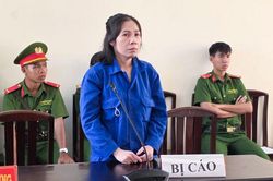 Lừa góp vốn kinh doanh đường, nữ bị cáo lãnh 13 năm tù