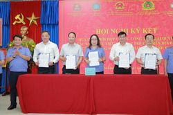 Tăng cường phối hợp liên ngành trong công tác phòng, chống xâm hại trẻ em