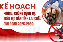 Kế hoạch Ph&ograve;ng, chống bệnh Dại tr&ecirc;n địa b&agrave;n tỉnh Lai Ch&acirc;u giai đoạn 2026-2030