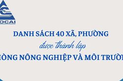 Danh sách 40 xã, phường được thành lập Phòng Nông nghiệp và Môi trường