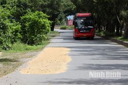 Siết chặt quản lý, xử lý nghiêm tình trạng đốt rơm rạ và phơi nông sản trên đường giao thông