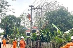 Công suất và sản lượng điện tiêu thụ lập đỉnh mới