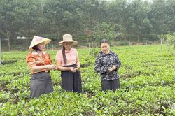 An Khánh bứt phá sau sáp nhập