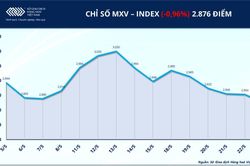 Thị trường hàng hóa: Áp lực bán lan rộng, MXV-Index rời vùng 2.900 điểm