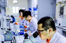 13 doanh nghiệp tiên phong thúc đẩy quá trình chuyển đổi của Việt Nam sang nền kinh tế các-bon thấp.