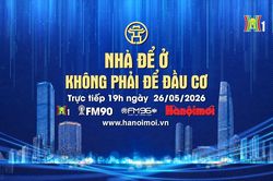 Đ&oacute;n xem chương tr&igrave;nh thời sự ng&agrave;y 26/5: 'Nh&agrave; để ở, kh&ocirc;ng phải để đầu cơ'