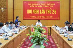 Hội nghị Ban Thường vụ Tỉnh ủy lần thứ 25