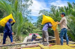 Châu Thới hướng đến sản xuất lúa chất lượng cao