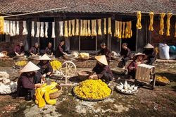 Phát triển nông nghiệp sinh thái - Xu thế tất yếu
