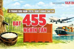 Xuất khẩu cao su 4 tháng đầu năm 2026 đạt 455 nghìn tấn, thu về 844,7 triệu USD