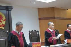 Xử phúc thẩm xét đơn kháng cáo trong vụ án xảy ra tại VICEM