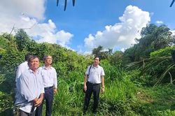 Vĩnh Long chung tay bảo vệ vườn chim vạc quý hiếm
