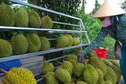 Muốn đi xa phải đi bài bản