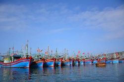 Cứu hộ thành công 11 người vụ tàu cá Hải Phòng gặp nạn trên biển