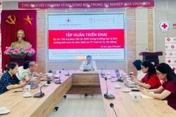 Hỗ trợ các trường học bị ảnh hưởng bởi mưa lũ tại TP. Huế và TP. Đà Nẵng phục hồi tái thiết