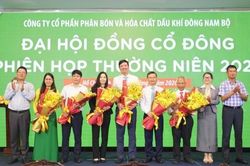 ĐHĐCĐ 2026: PSE kiện to&agrave;n bộ m&aacute;y quản trị, đặt mục ti&ecirc;u doanh thu hơn 4.000 tỷ đồng