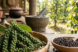Thị trường hồ tiêu lao dốc, giá thu mua xuống còn 137.000 đồng/kg