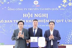 Tổng công ty Truyền tải điện Quốc gia có Quyền Tổng giám đốc mới