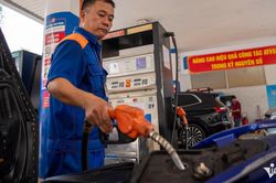 Thứ trưởng Công Thương: Triển khai xăng E10 không nhằm áp đặt người dân