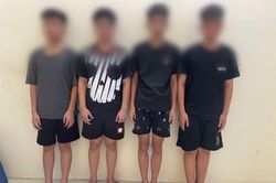 Tạm giữ 4 thiếu niên sau vụ ném gạch khiến bé trai chấn thương sọ não ở Hà Nội