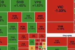 VN-Index giảm gần 10 điểm dù ngân hàng giữ nhịp