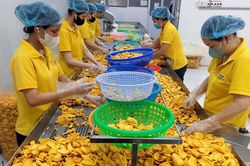 Chuyển kinh tế nâu thành xanh