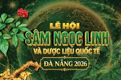 Chi tiết Lễ hội sâm Ngọc Linh và dược liệu quốc tế Đà Nẵng 2026