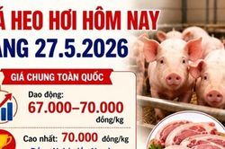 Giá heo hơi hôm nay 27.5: Đồng Nai và Hưng Yên giữ mức cao nhất 70.000 đồng/kg