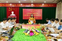 L&atilde;nh đạo UBND tỉnh l&agrave;m việc với Sở Y tế